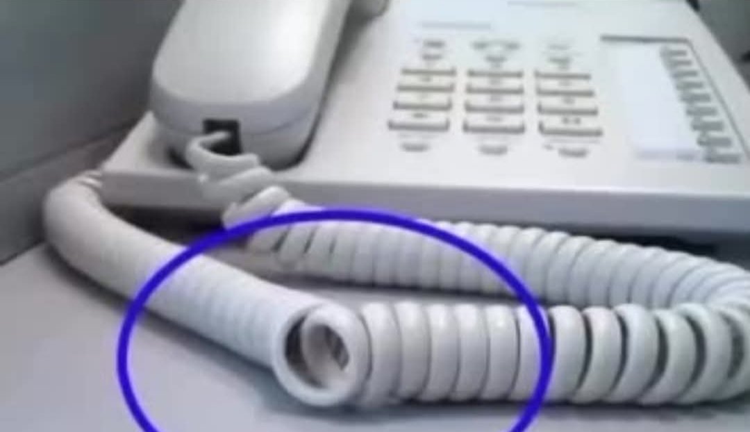 Marcela Quintero tweet media