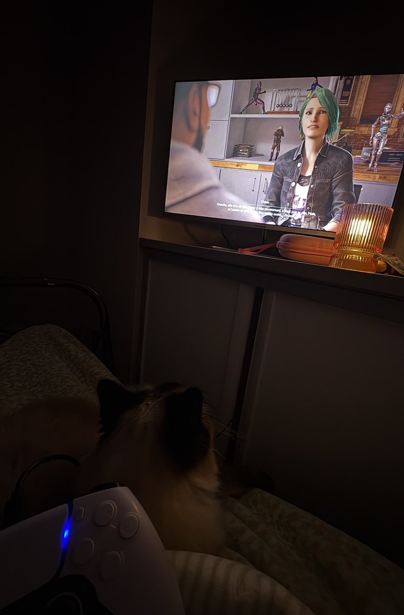 Glimmer joue avec moi <3