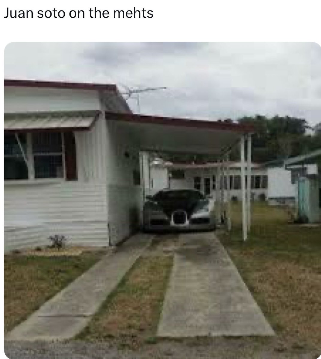 HSBS🇺🇸 tweet media