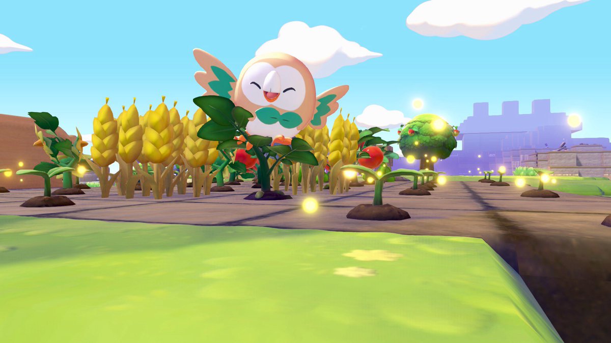 🍉 Meredith Bear tweet media