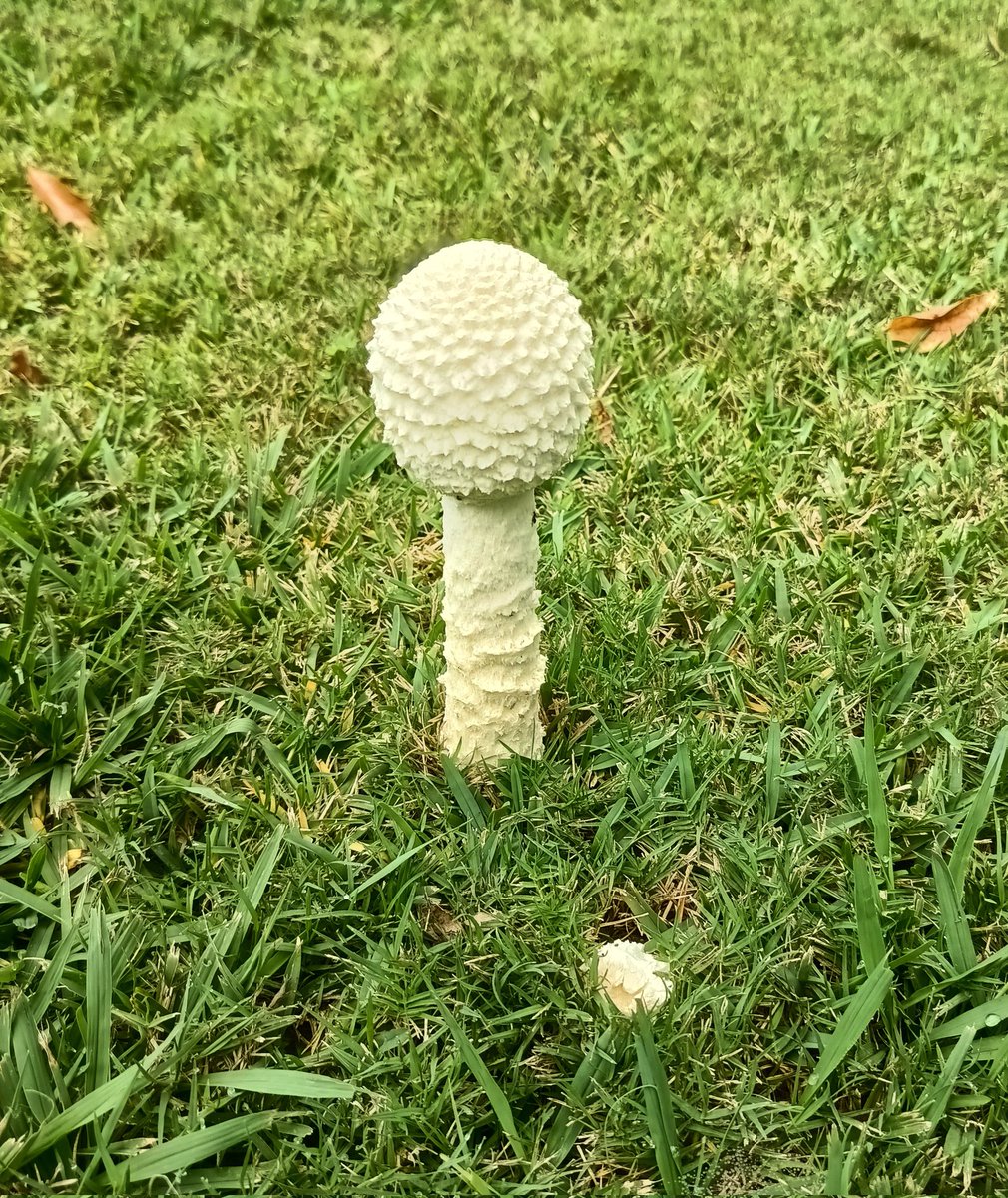 jec🎗️ tweet media