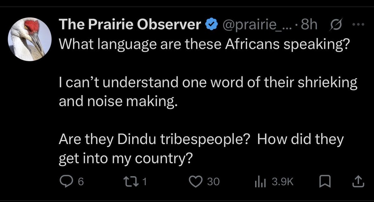 Doomscroller3000 tweet media