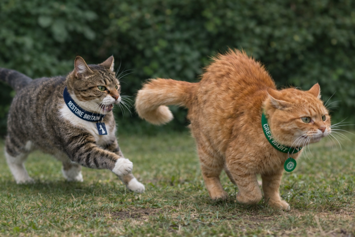 Nuanced Energy tweet media