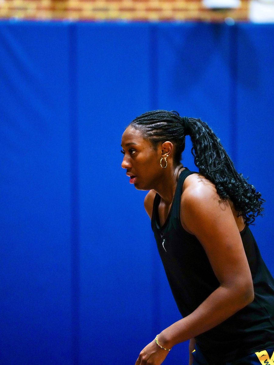 Indiana Fever tweet media