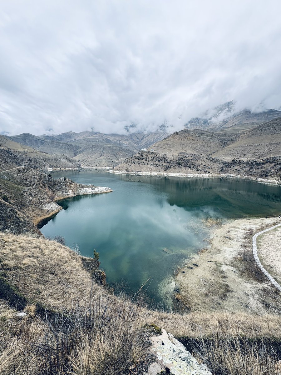 Невероятный tweet media