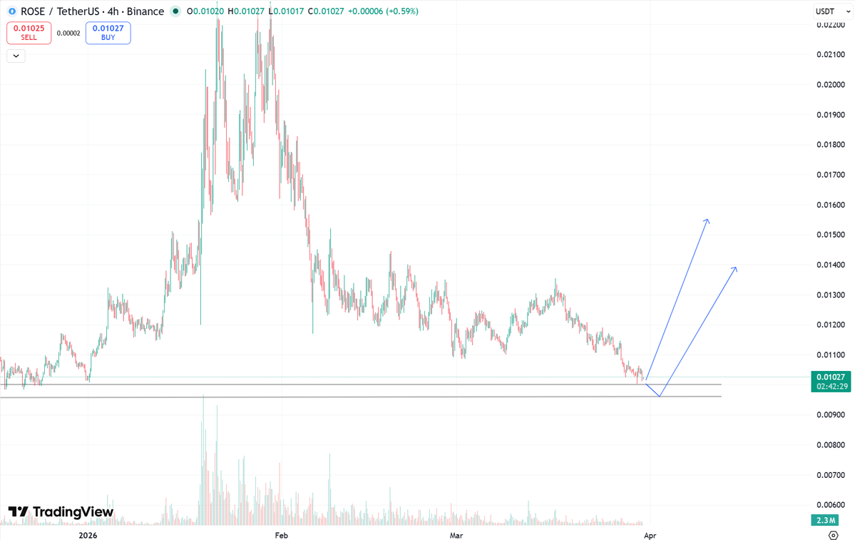 SatoshiOwl tweet media