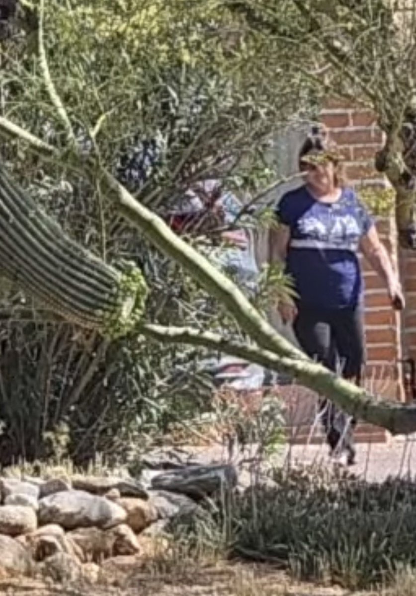 Adriienne F tweet media