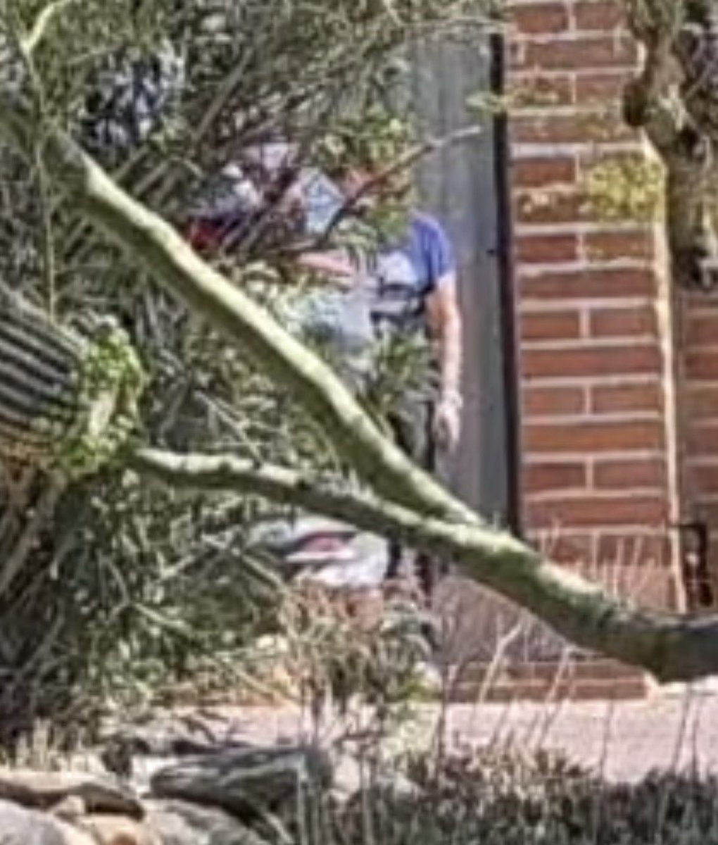 Adriienne F tweet media