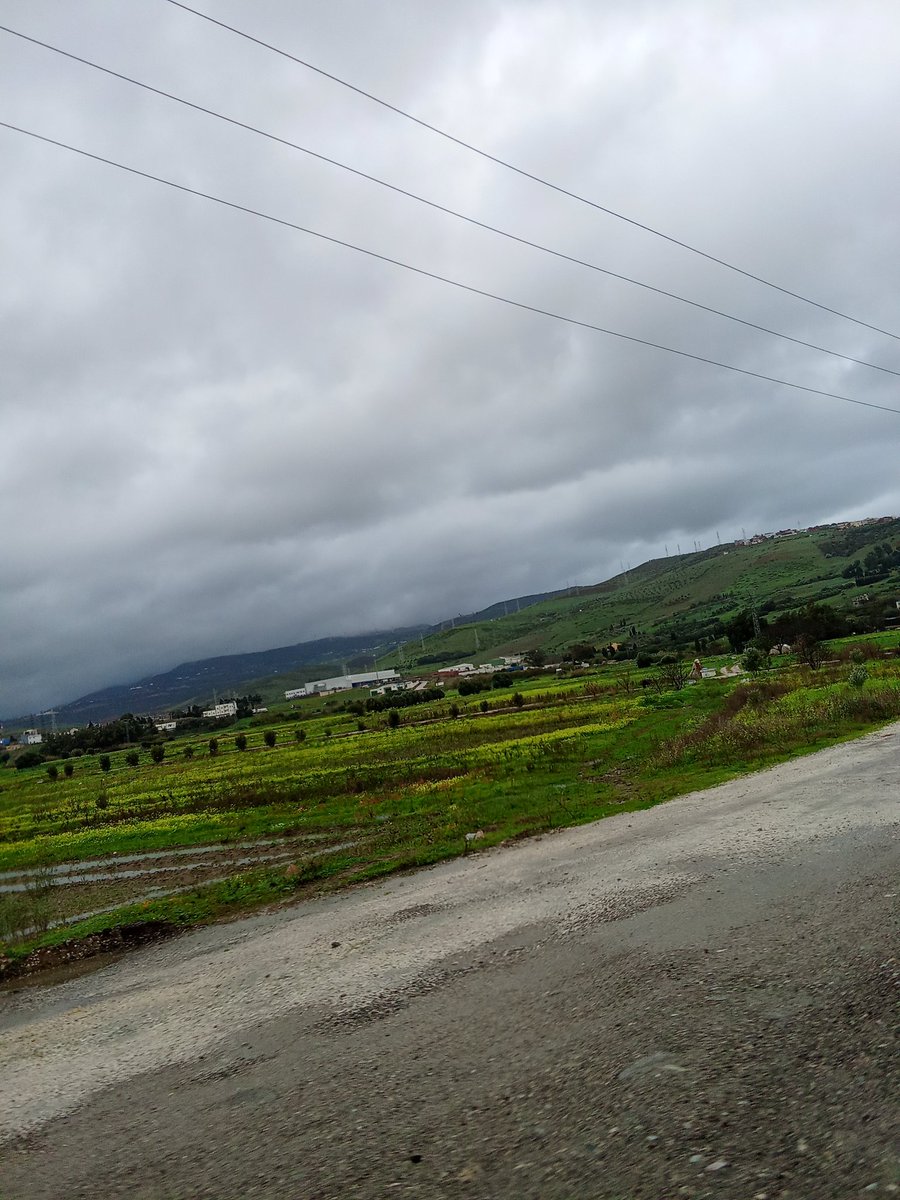 ILYS02🔻 tweet media