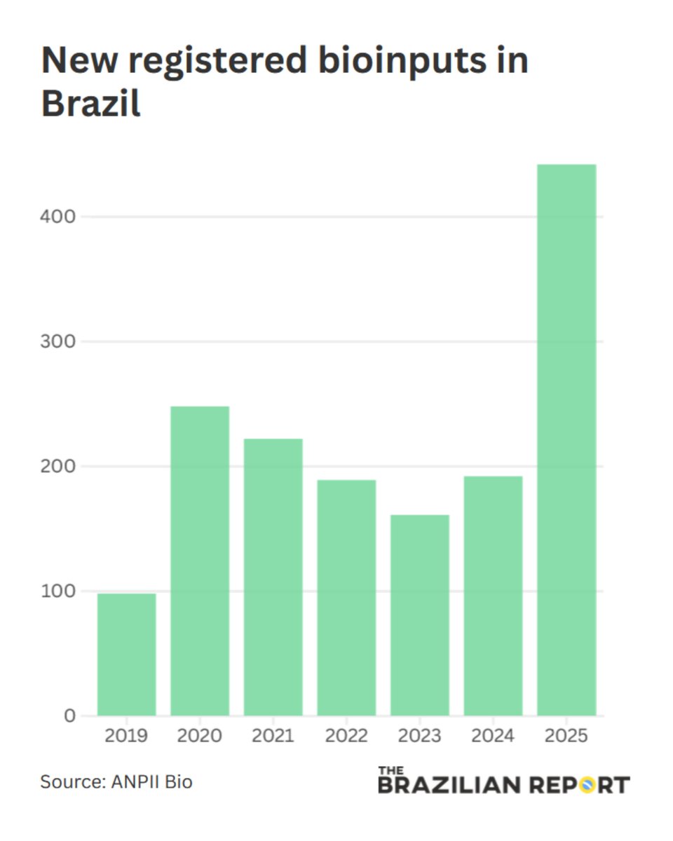 The Brazilian Report tweet media