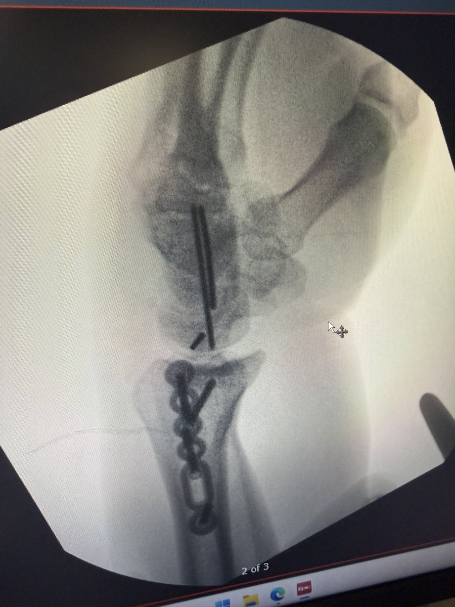 𝓑𝓸𝓫𝓫𝔂 𝓼𝓲𝓶𝓼 tweet media