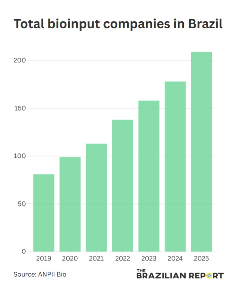 The Brazilian Report tweet media