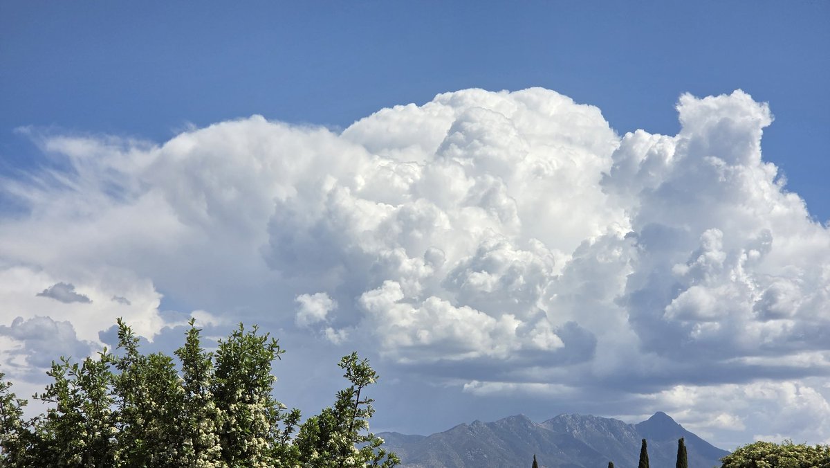 Bill Meier tweet media