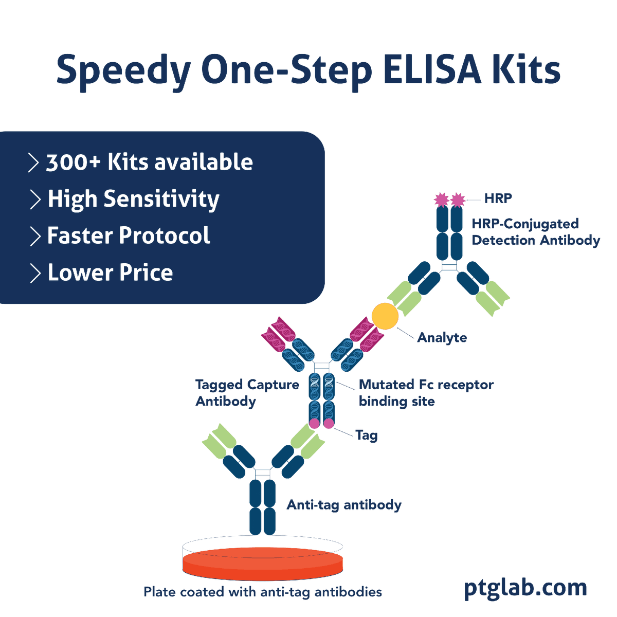 Proteintech Group tweet media