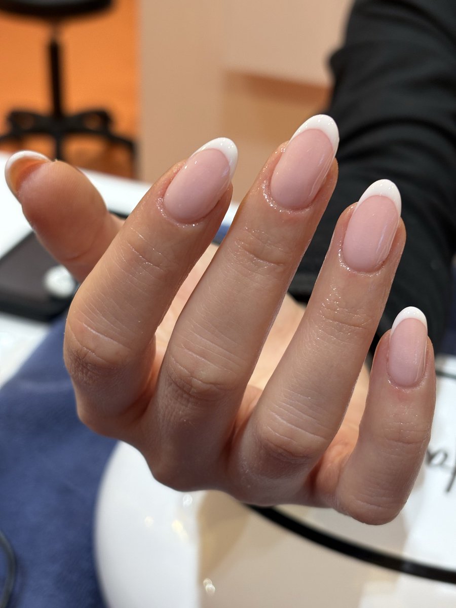 شاماران tweet media