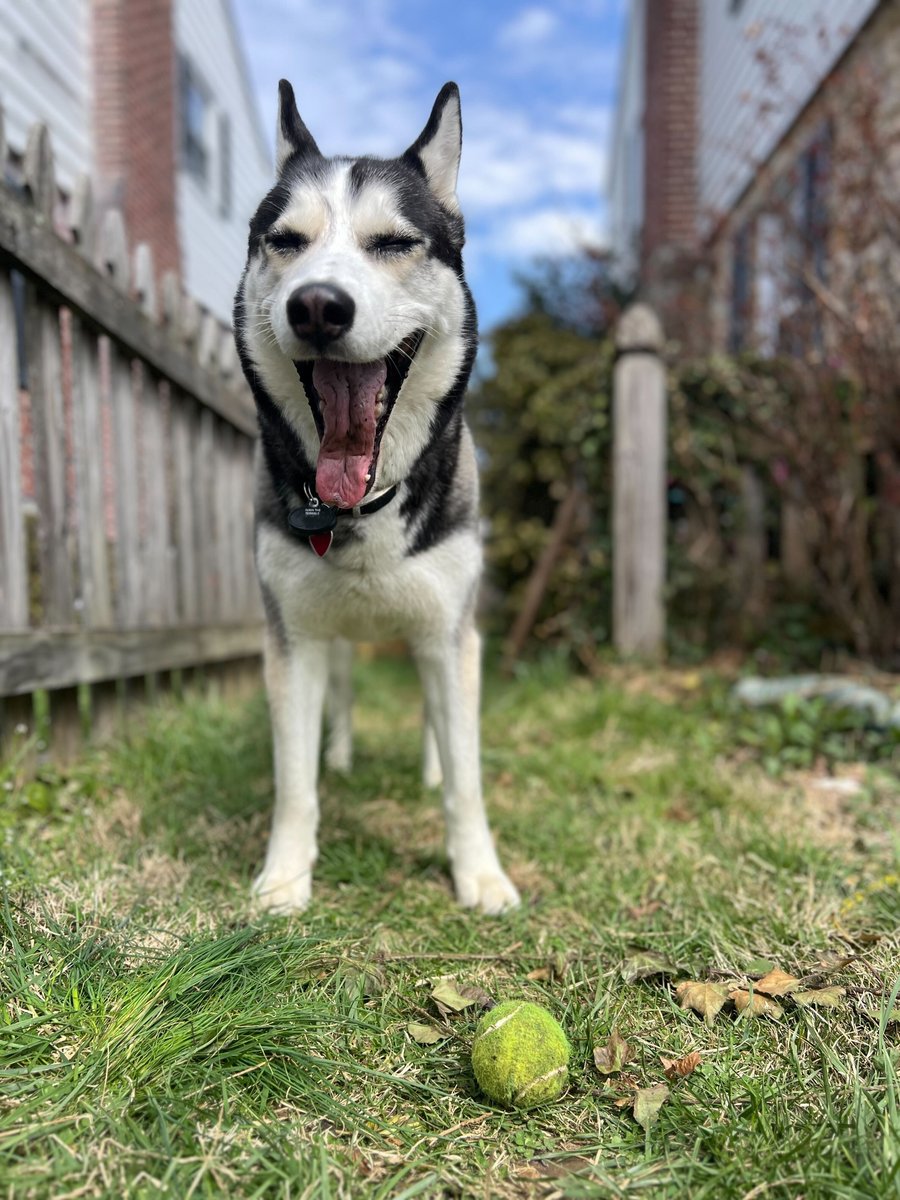 Matt McDermott tweet media