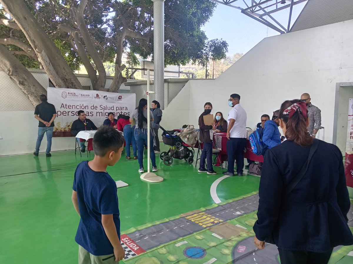 Comisión Mexicana de Ayuda a Refugiados tweet media