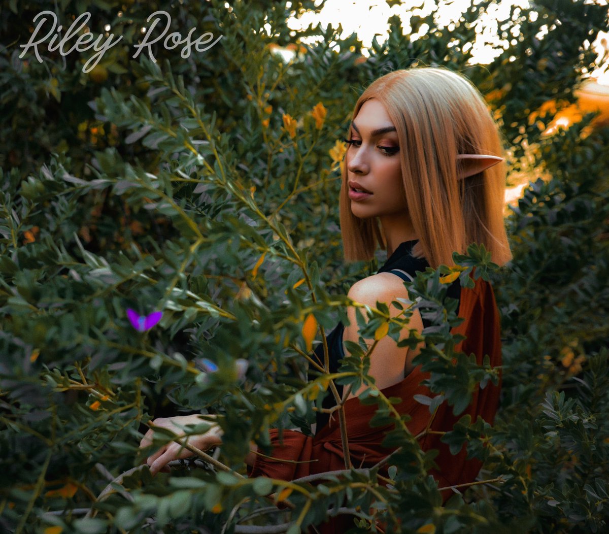 Riley 🌹 Rose tweet media