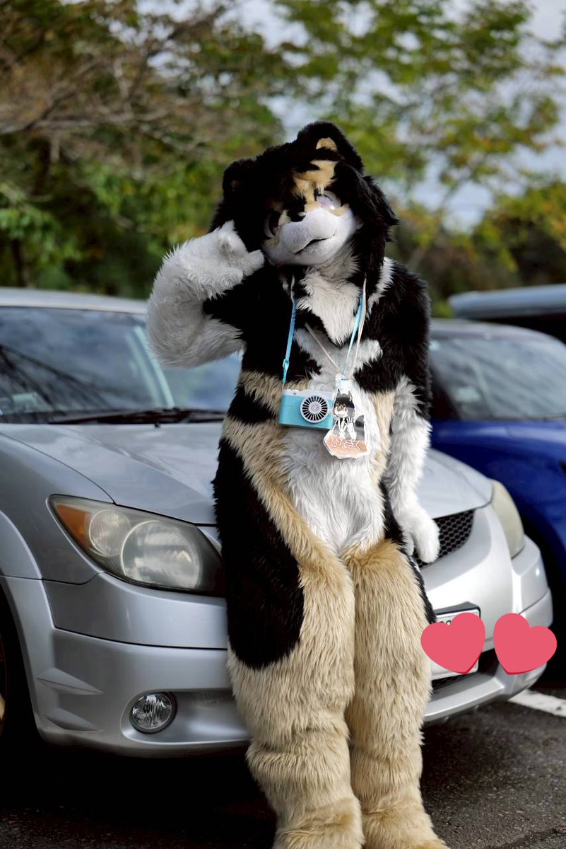 ひなぎく@嫁は白露 tweet media