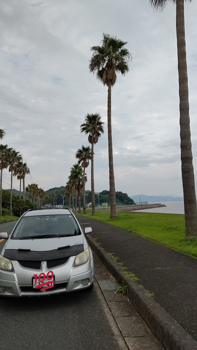 ひなぎく@嫁は白露 tweet media