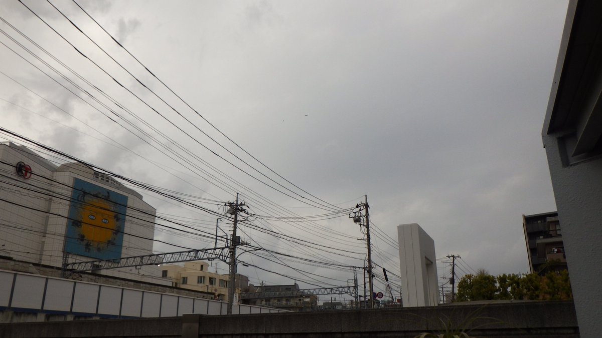 マドリエ　横浜港北　公式 tweet media