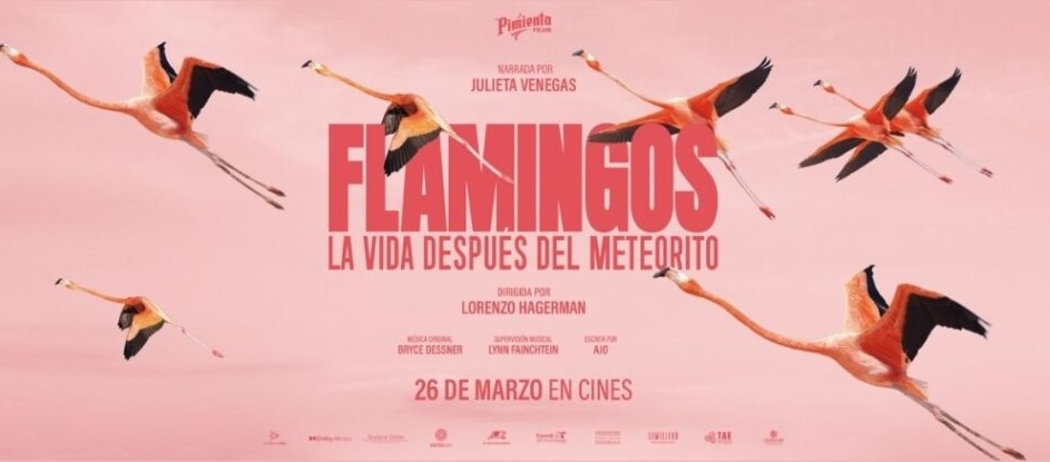 En noticias que llenan el corazón🩷, FLAMINGOS: LA VIDA DESPUÉS DEL METEORITO🦩 es el documental mexicano con el mejor debut pospandemia, con $349 mil pesos.
Superó a otros (también) grandes documentales como El Eco, La Mujer de Estrellas y Montañas y Tratado de Invisibilidad.