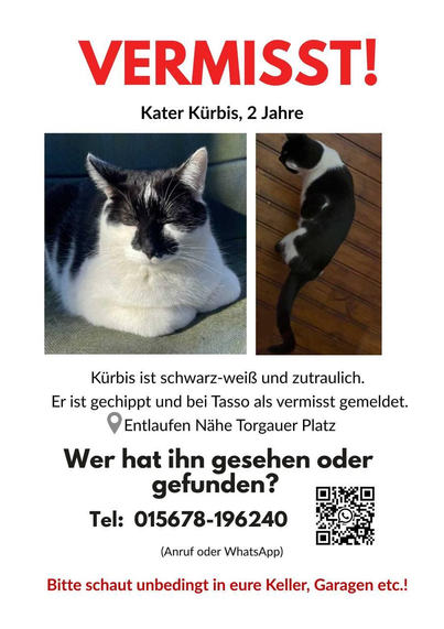 Hey, #Leipzig, da ist ein lieber Mensch auf der Suche nach Kürbis. Könnt ihr helfen? Und sei es nur durch Teilen?