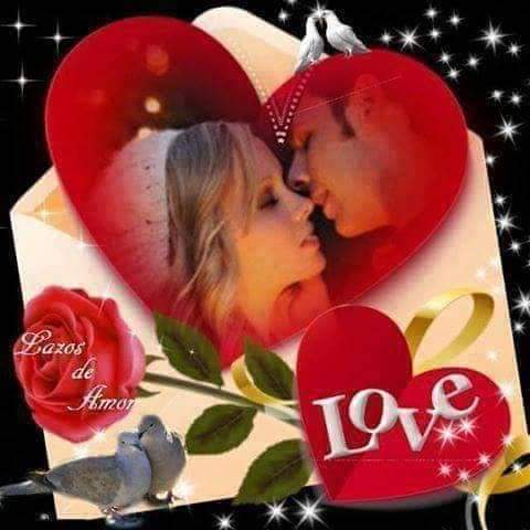 طائر الغدير tweet media