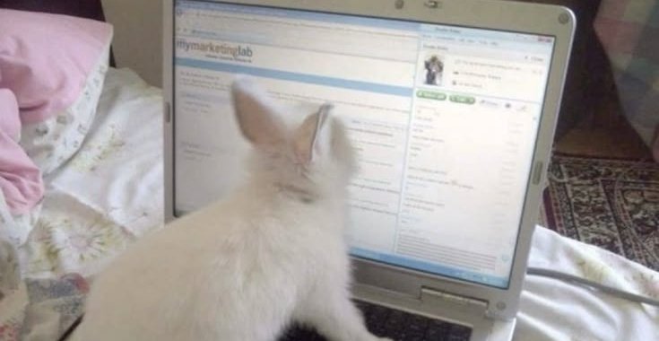 ؘ⠞⡷✤ sevEN tweet media