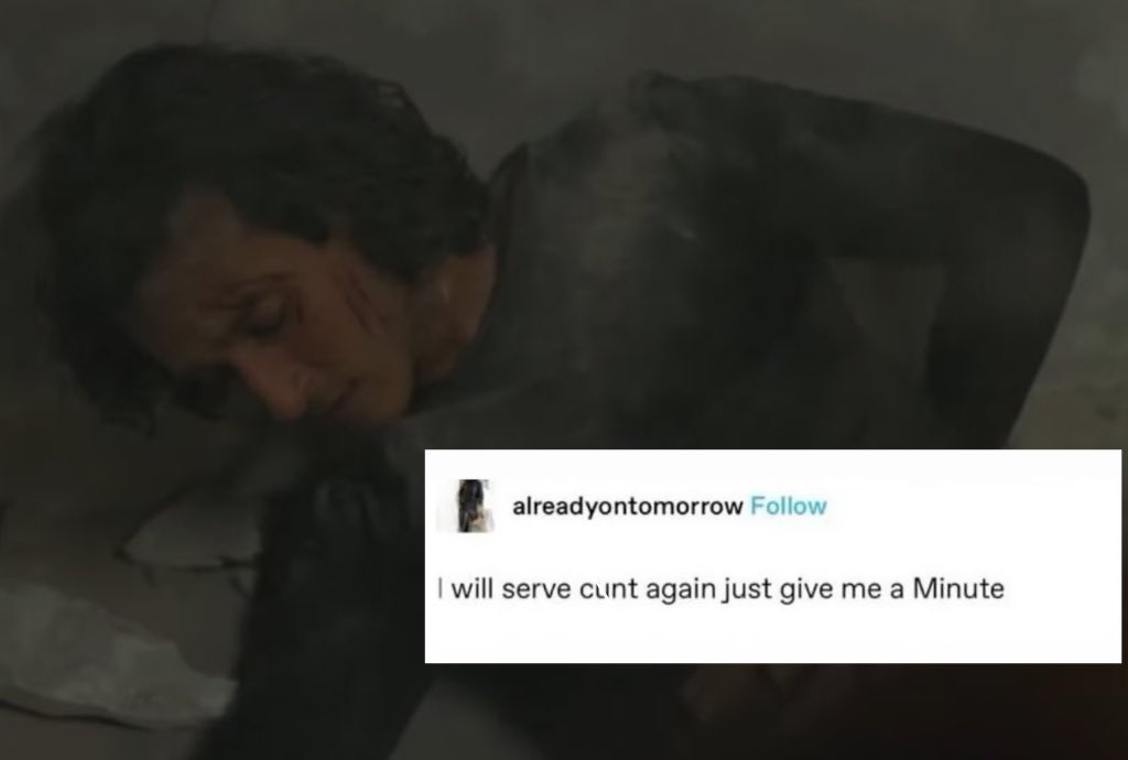 persephone ༊*·˚ tweet media