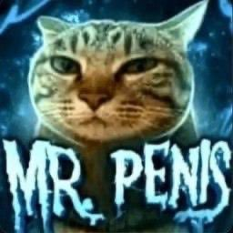 LVV | PUMPY tweet media