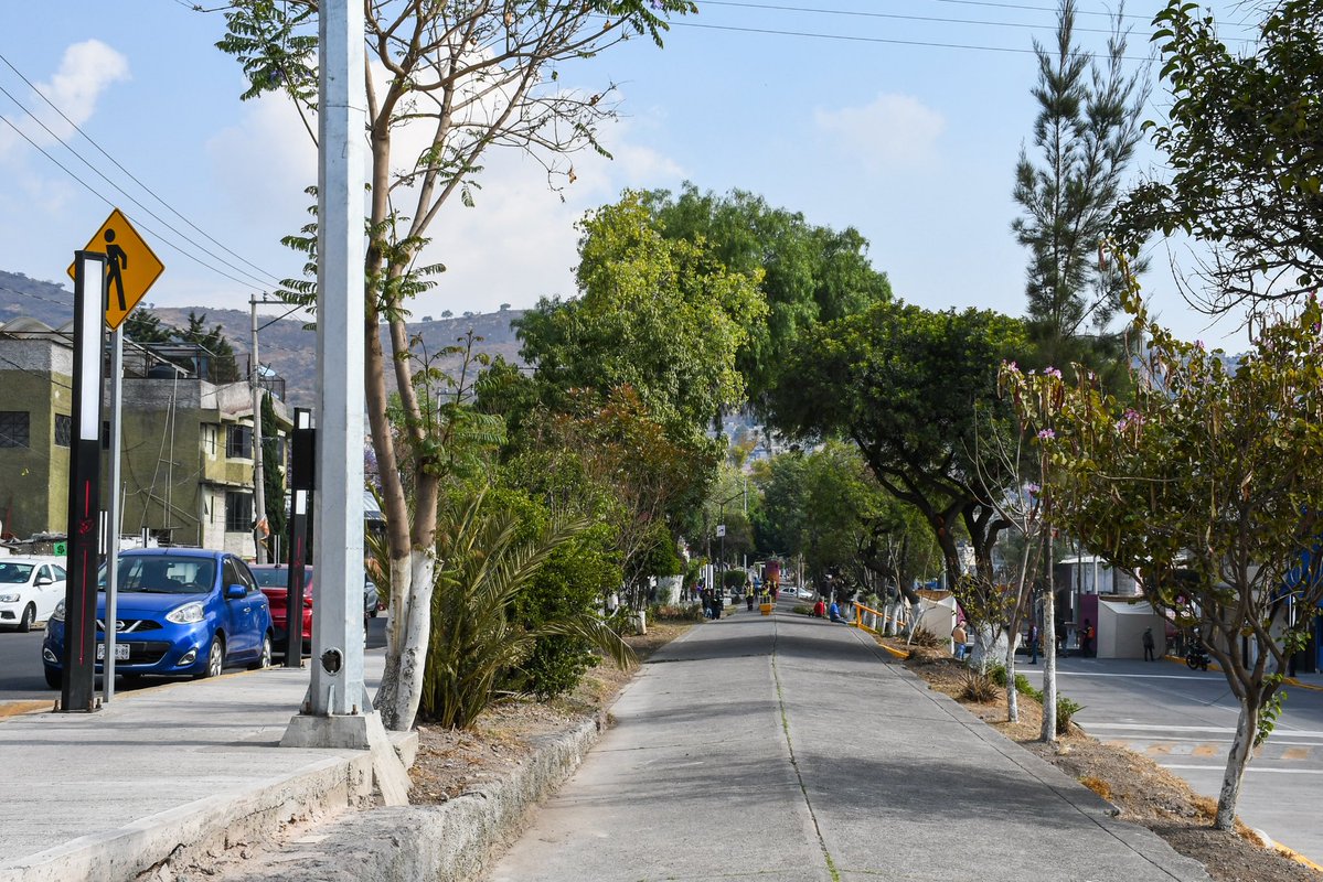 Delfina Gómez A. tweet media