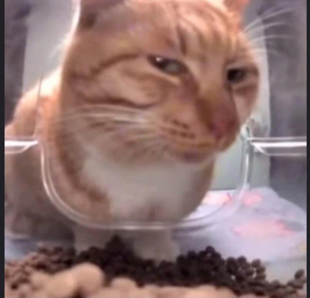 PAPER HANDS tweet media