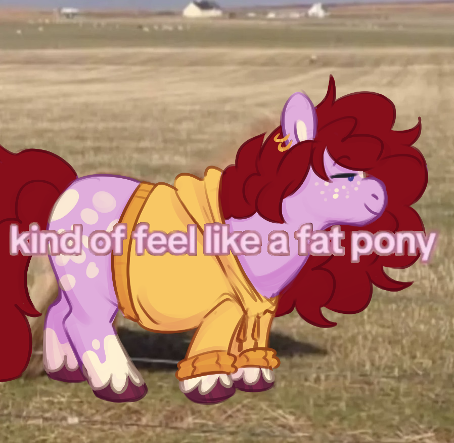 JoeHoars tweet media