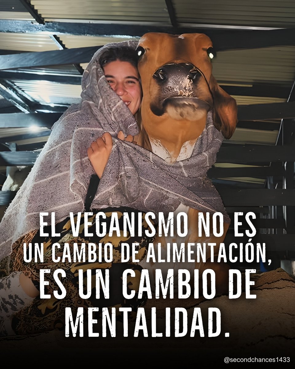 Vegan FTA español tweet media