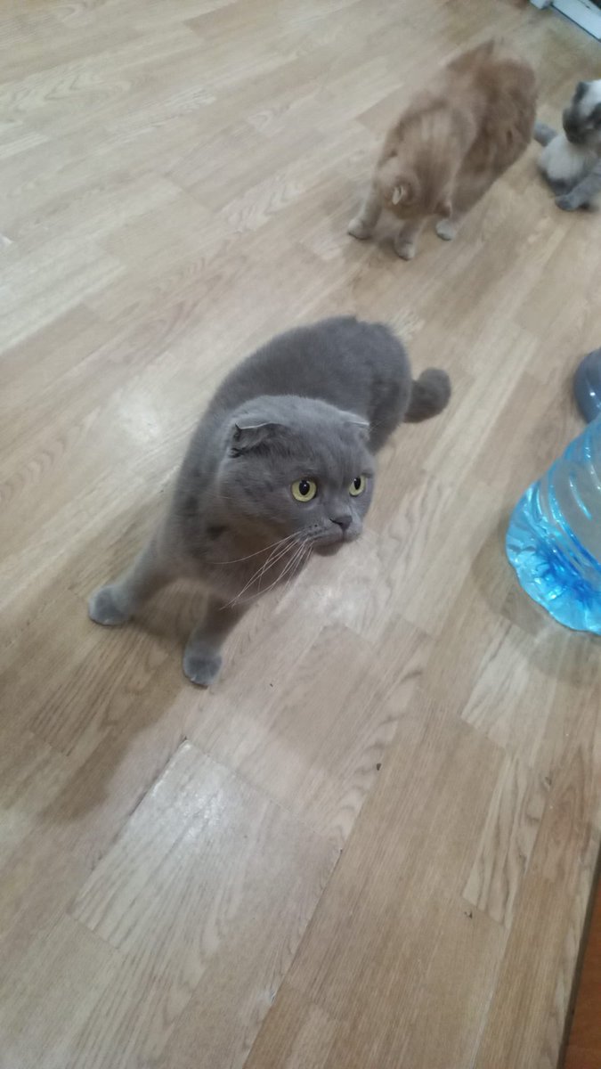 Masum Gözler tweet media