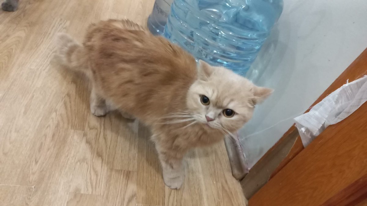 Masum Gözler tweet media