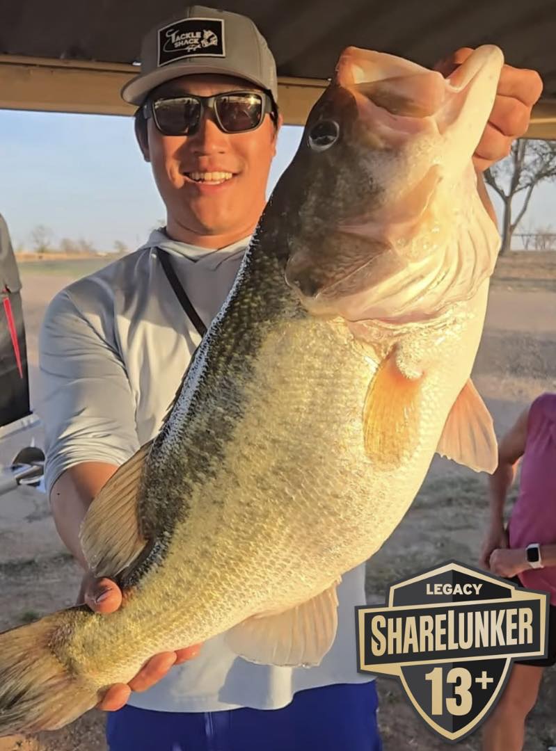 TPWD Fishing tweet media