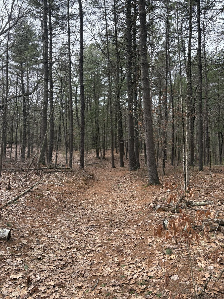 Kevin Lu tweet media