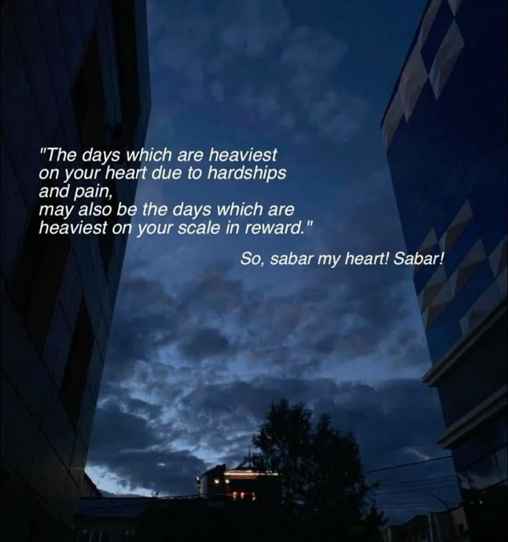 عرشي .Dr tweet media