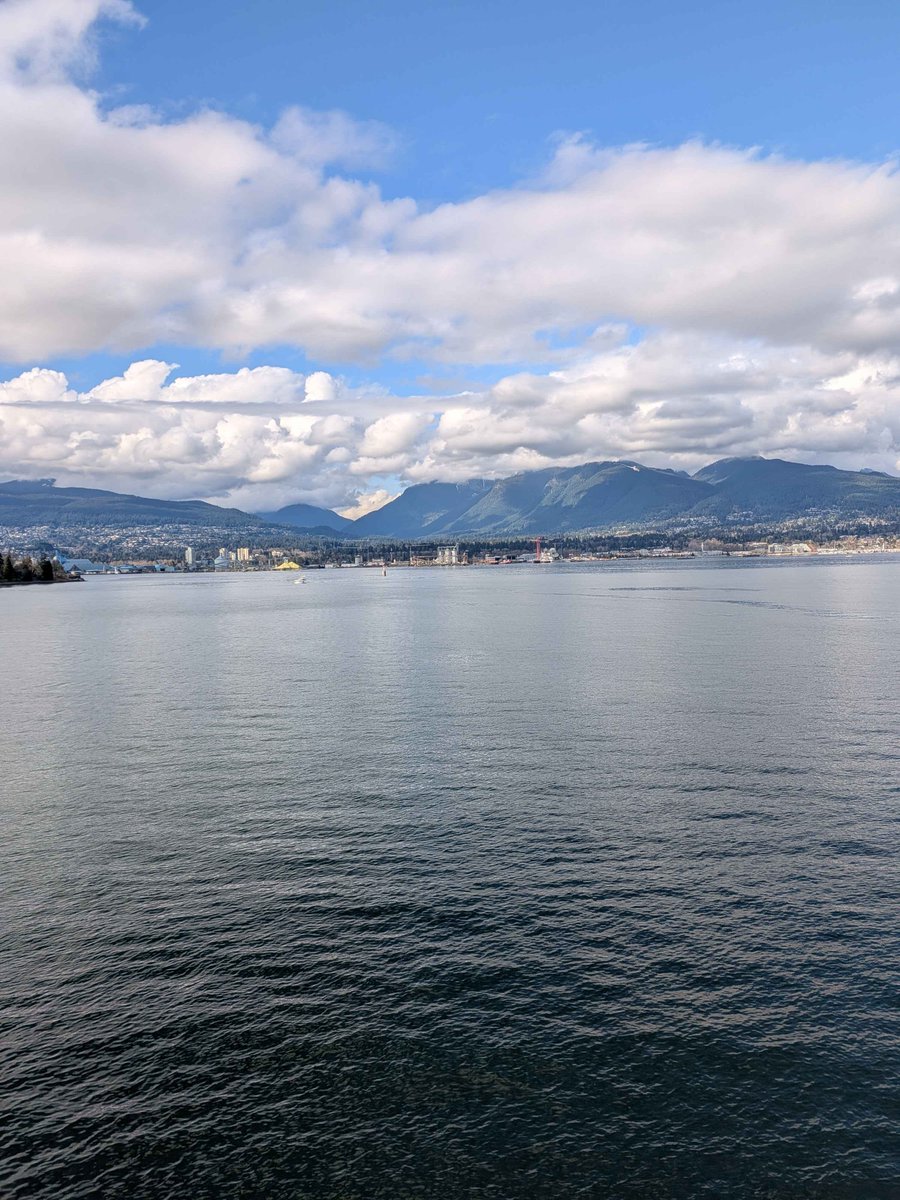 🐚🦪あさり@春例【い02ab】 tweet media