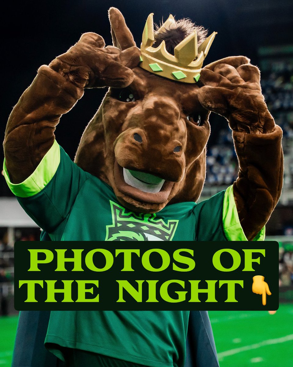 Louisville Kings tweet media