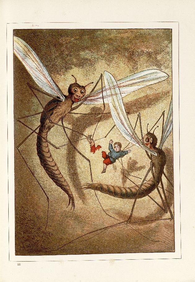 Nina Antonia tweet media