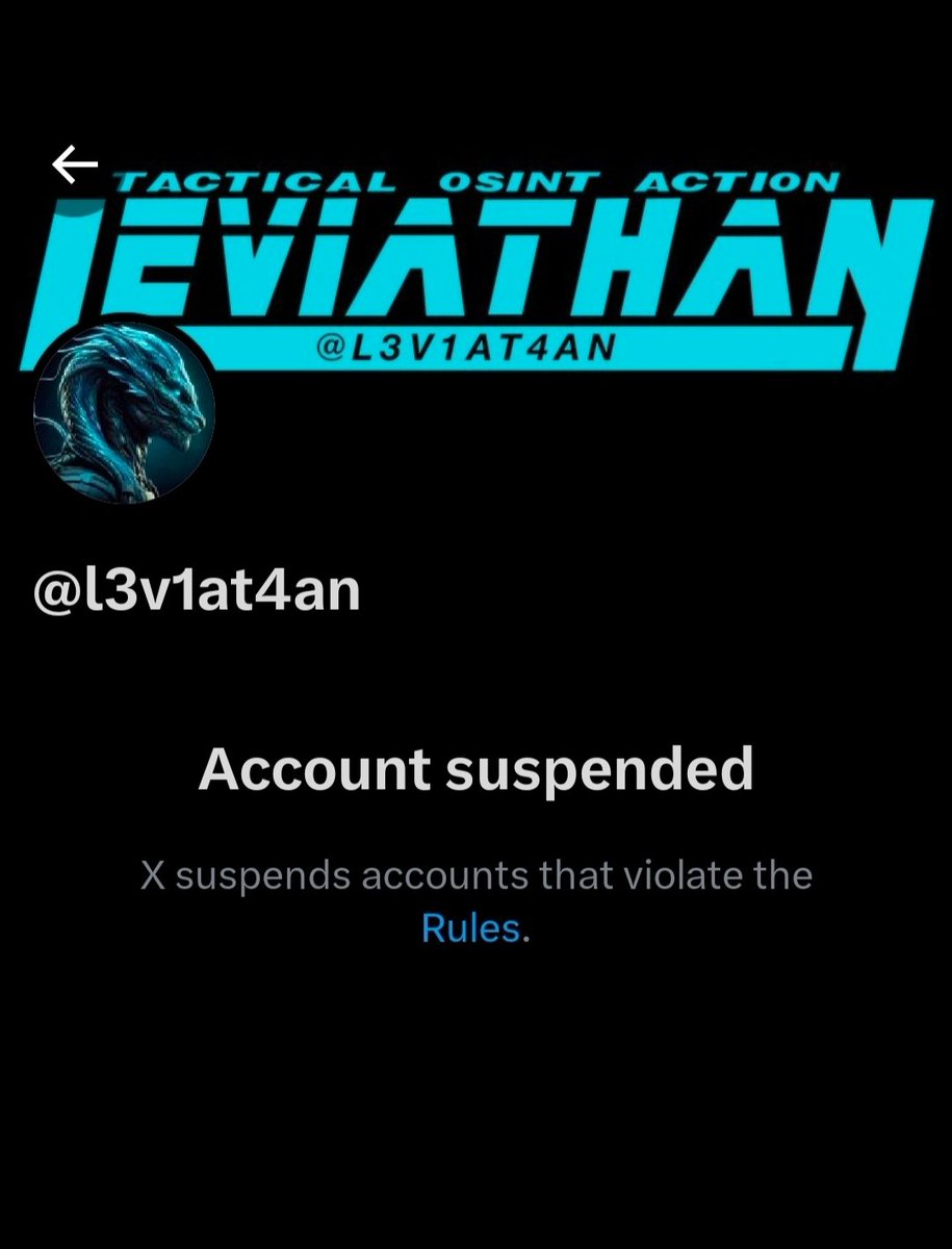 Lily 🌺 لی‌لی tweet media