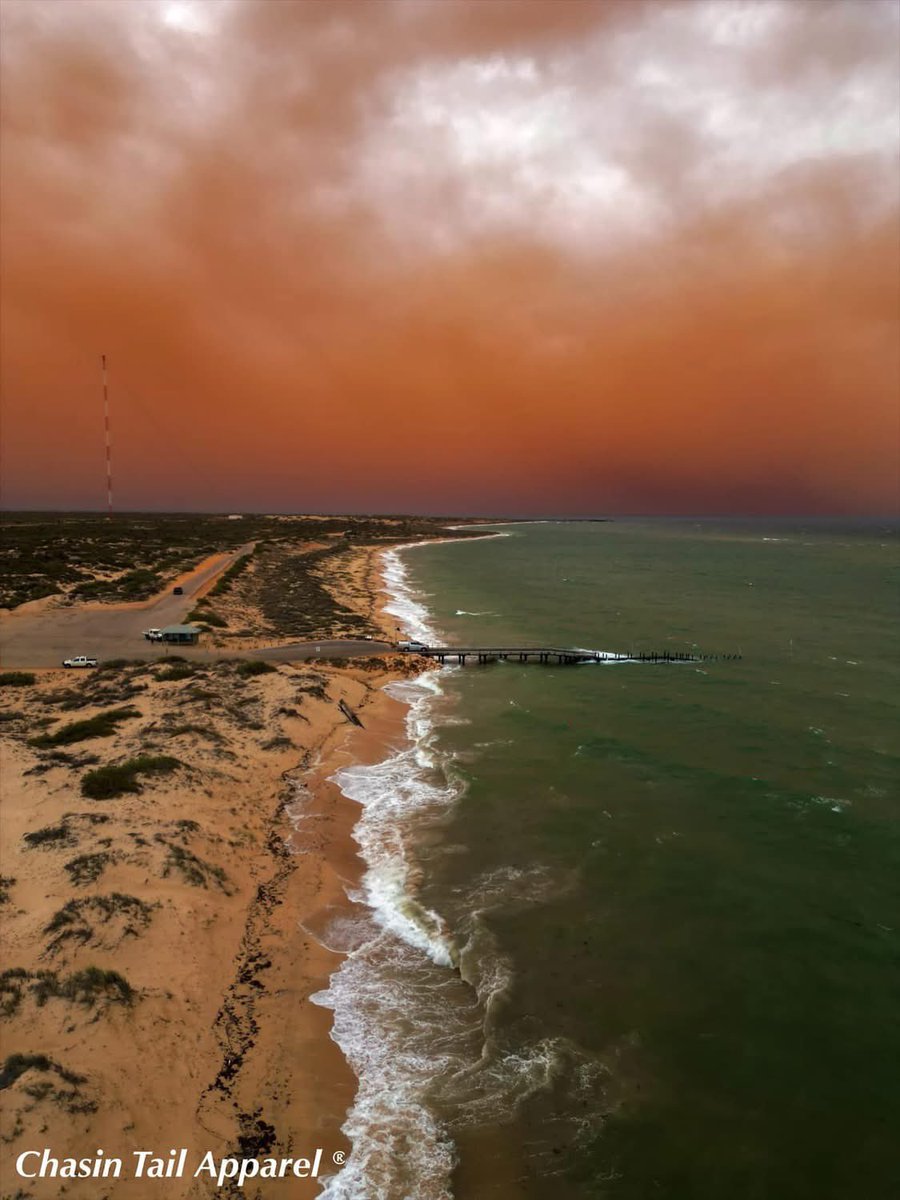 Sandra K Eckersley tweet media