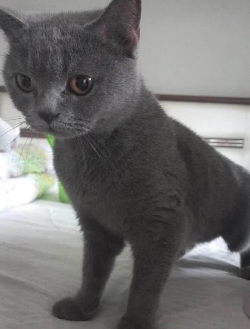 Masum Gözler tweet media