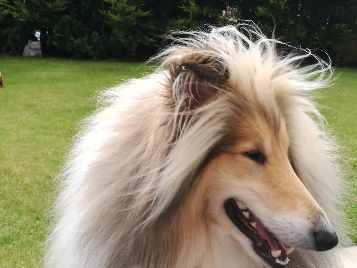 🇬🇧ALICIA🇬🇧 tweet media