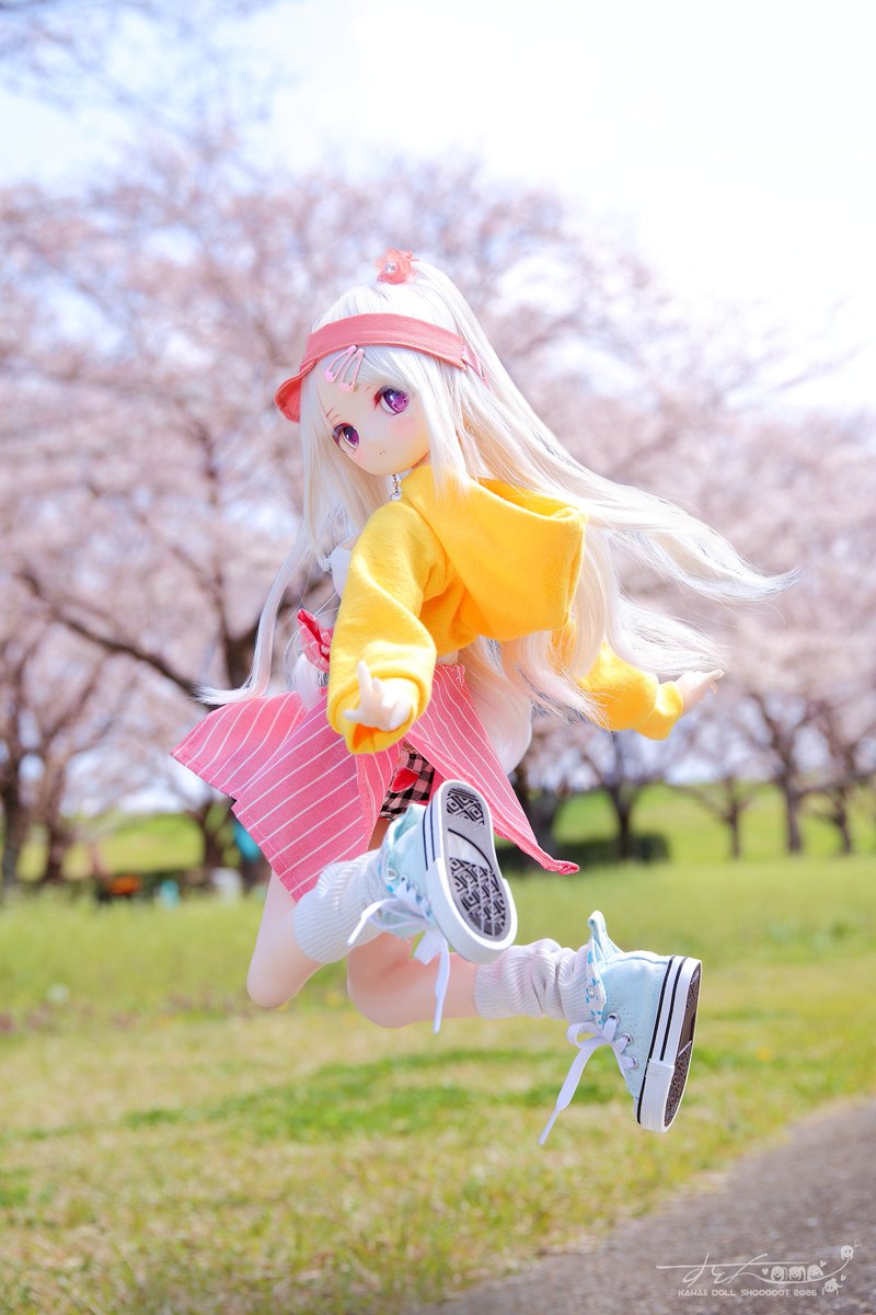 Su☆ToN(すとん) tweet media