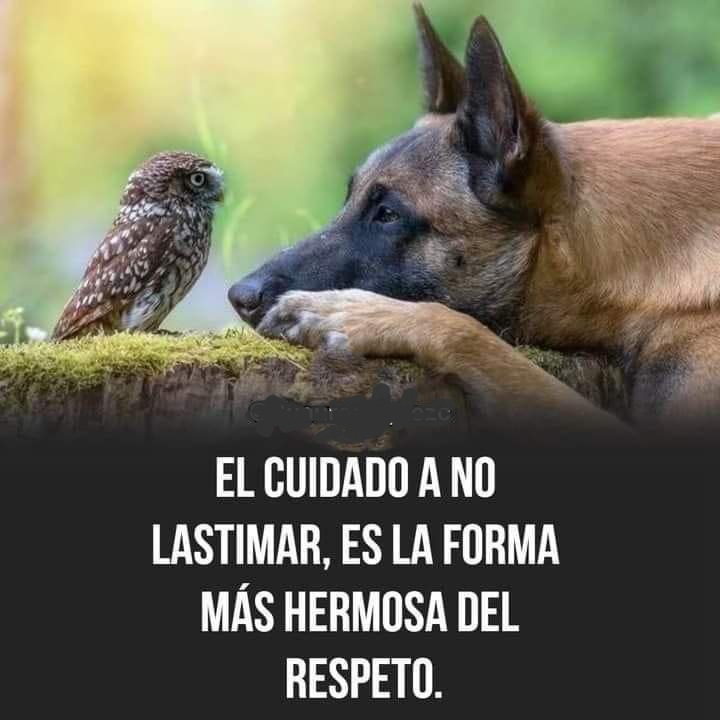 Alfonso Murga tweet media