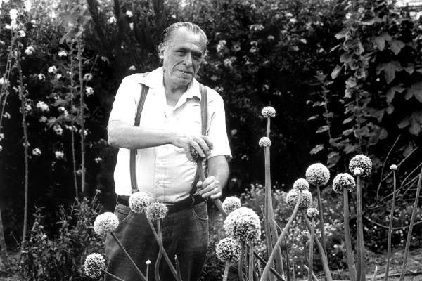 "No presto atención al fin del mundo. Ha terminado para mí muchas veces y comenzó de nuevo por la mañana".
Charles Bukowski